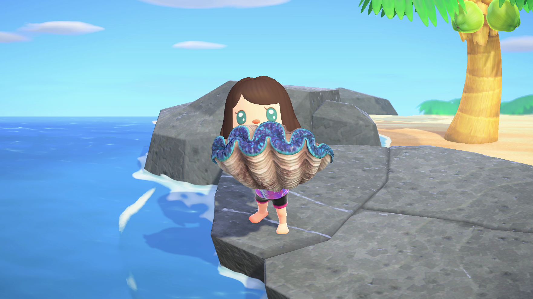 Animal Crossing New Horizons How To Catch A Gigas Giant Clam Superparent - roblox giant donation image png